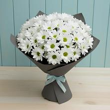 Букет цветов из:  Хризантемы #REPLACE_PRED# Аниве