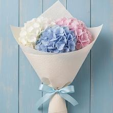 Букет цветов из:  Гортензия в Аниве