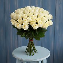 Букет 51 Белая роза Эдлесс Лав #REPLACE_PRED# Аниве