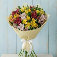 Букет цветов из:  Альстромерии в Аниве
