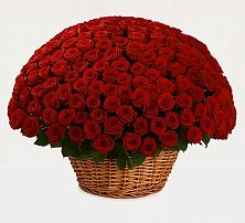 Премиум букет из: Розы #REPLACE_PRED# Аниве