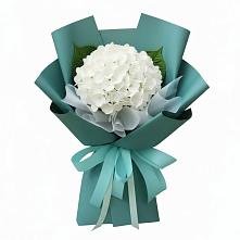 Букет цветов из:  Гортензия #REPLACE_PRED# Аниве